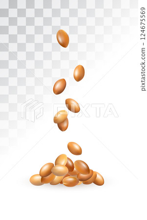Falling Argan Nuts Pile, Flying Argania Oil Seeds for Natural Organic Cosmetic Falling Argan Nuts Pile, Flying Argania Oil Seeds for Natural Organic Cosmetic 124675569