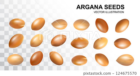 Argan Nuts set, Argania Oil Seeds for Natural Organic Cosmetic, Skincare Argan Fruits 124675570