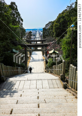 Path of Light (Vertical) 1 124675677