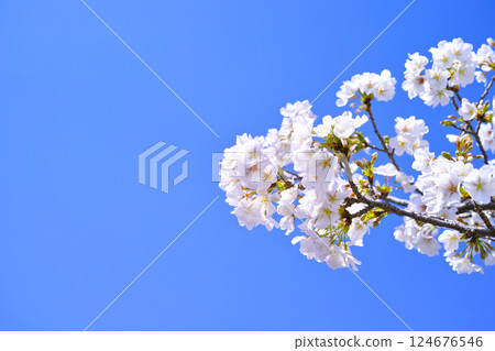 藍色的天空和雲圖像 124676546