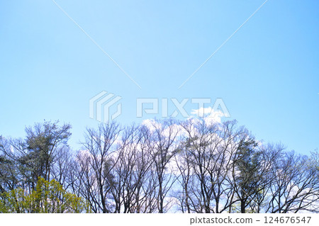 藍色的天空和雲圖像 124676547