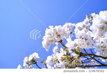 藍色的天空和雲圖像 藍色的天空和雲圖像 124676582