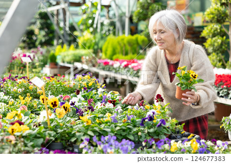 Elderly woman choosing potted plants - viola wittrockiana flower for her home apartment in greenhouse or flower store 124677383
