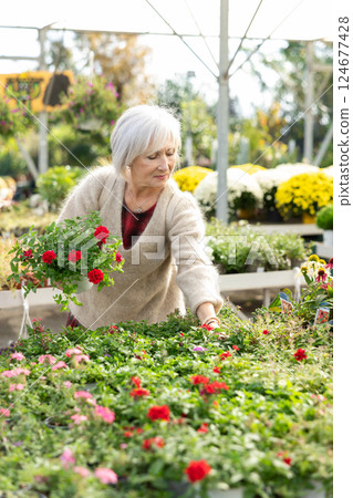 Portrait of happy girl chooses an flower red verbena in flower shop 124677428
