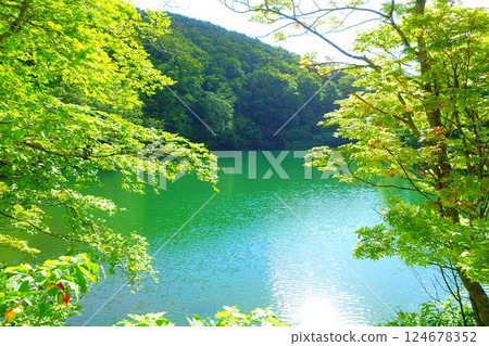 多科沼澤藏王鮮綠 124678352