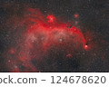 海鷗星雲_2024.01 124678620