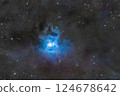 鳶尾星雲_2024.08 124678642