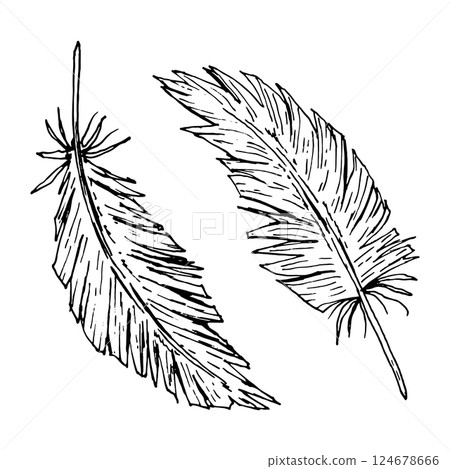 Vector illustration featuring a hand drawn set of two feathers in ink line art style. Perfect for tribal decor, boho wedding stationery, nature-inspired prints, farm branding, or ethnic-themed design. 124678666