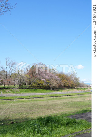 東京都武藏野公園 東京都武藏野公園 124678921