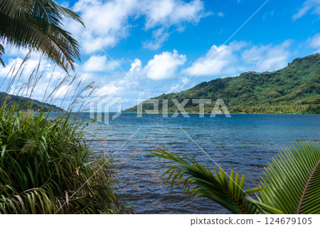 Coastline and Mountains on Tahaa Island, French Polynesia 124679105