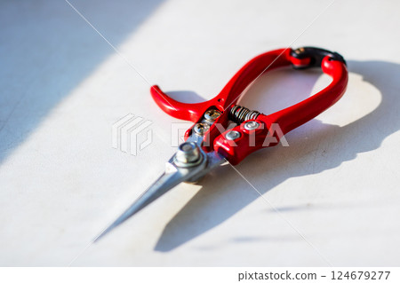 A bright pair of red scissors resting on a clean white surface 124679277