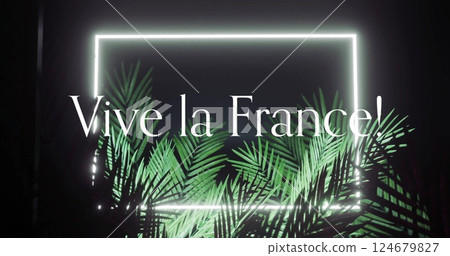 Vive la france text image over glowing neon frame and green palm leaves 124679827