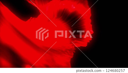 Image of red rotating wave on black background 124680257