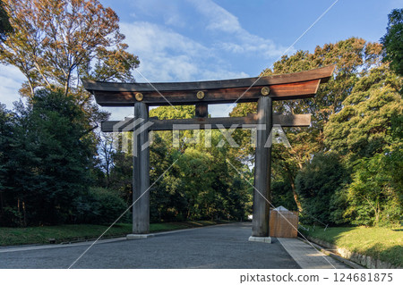 Traditional torii gate at Meiji Shrine in Tokyo bathed in gentle morning light 124681875
