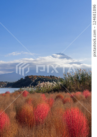 Mount Fuji in a vertical autumn composition near Lake Kawaguchi Japan Mount Fuji in a vertical autumn composition near Lake Kawaguchi Japan 124681896