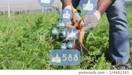 Harvesting carrots in garden, social media likes image over scene 124682383
