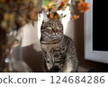 A beautiful striped cat sits on a table near a bouquet of flowers, looking with interest 124684286