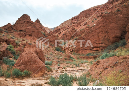 Sandstone red rocks. Sheer cliffs subject to erosion. 124684705