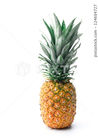 新鮮鳳梨（白色背景） 124684727