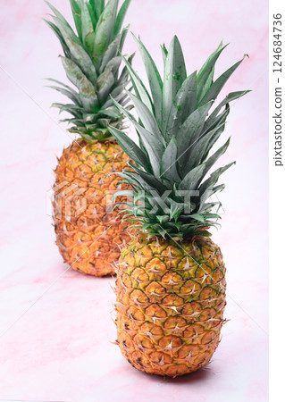 Fresh pineapple Fresh pineapple 124684736
