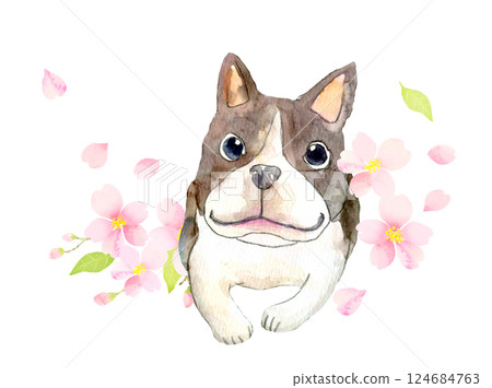 水彩插圖:可愛的小狗和櫻花 水彩插圖:可愛的小狗和櫻花 124684763