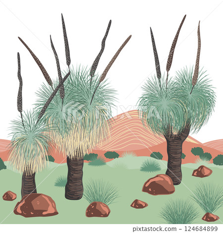 Xanthorrhoea trees in blossom and mountains landscape. The Grass trees, native Australian endemic flora. Vector background. 124684899