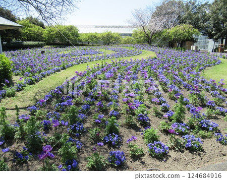 名菜之裡 名菜之裡 124684916