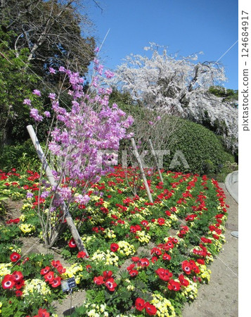 名菜之裡 名菜之裡 124684917