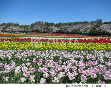 名菜之裡 名菜之裡 124684919