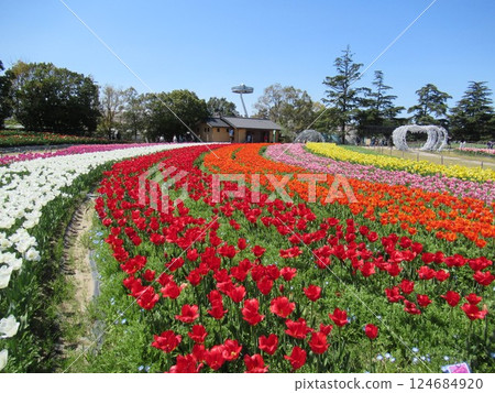 名菜之裡 名菜之裡 124684920