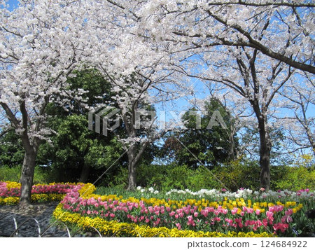 名菜之裡 名菜之裡 124684922