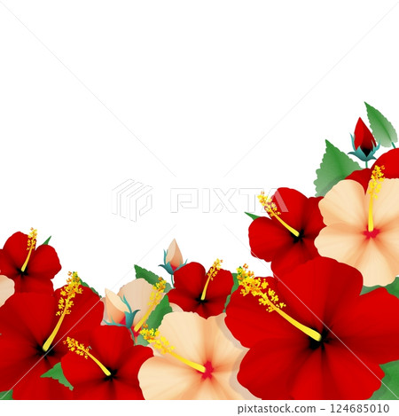 Hibiscus Hibiscus 124685010