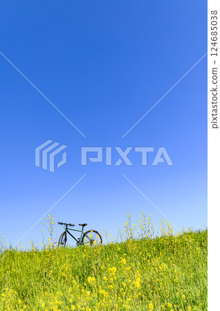 春天的風景：自行車、油菜花和藍天 124685038