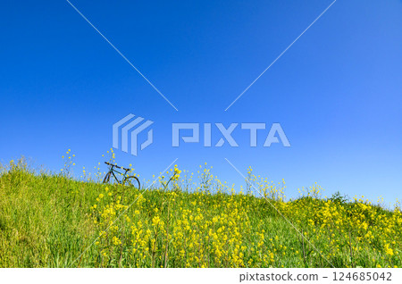 春天的風景：自行車、油菜花和藍天 124685042