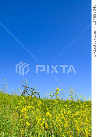 春天的風景：自行車、油菜花和藍天 124685046