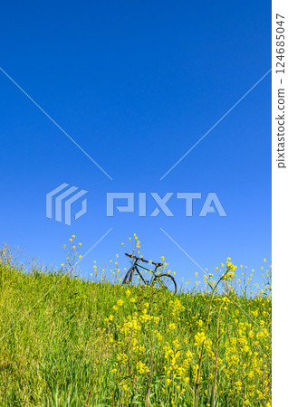 Spring scenery: bicycle, rape blossoms and blue sky Spring scenery: bicycle, rape blossoms and blue sky 124685047