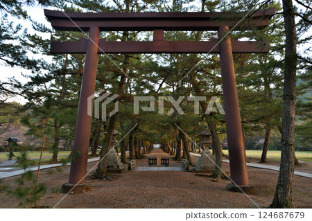 Shimane Prefecture, Izumo Taisha Shrine, Iron torii gate and pine approach, morning scenery Shimane Prefecture, Izumo Taisha Shrine, Iron torii gate and pine approach, morning scenery 124687679