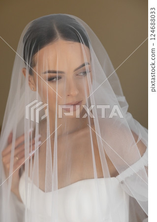 Bride wearing white wedding dress and veil posing for photographer Bride wearing white wedding dress and veil posing for photographer 124688033