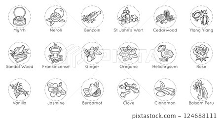Perfume icon. Aromatic herbs. Vetiver fragrance note. Floral musk. Amber aroma. Scent heart line. Pyramid fruity. Oriental sandal. Woody ingredients. Circle symbols. Vector aromatherapy pictograms set Perfume icon. Aromatic herbs. Vetiver fragrance note. Floral musk. Amber aroma. Scent heart line. Pyramid fruity. Oriental sandal. Woody ingredients. Circle symbols. Vector aromatherapy pictograms set 124688111