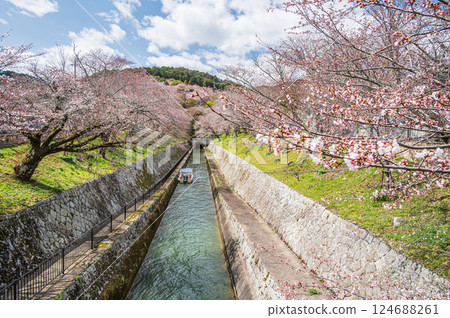 Lake Biwa First Canal as cherry blossoms begin to bloom Lake Biwa First Canal as cherry blossoms begin to bloom 124688261