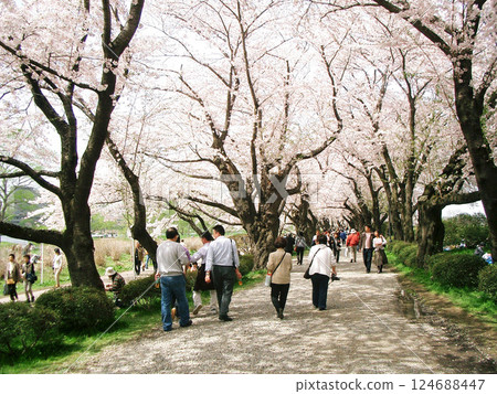 北上市展覽會場（岩手縣北上市） 124688447