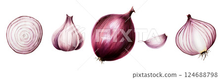 Set of Garlic bulbs and clove and Red onions. Watercolor hand drawn purple onion isolated on transparent background. illustration. For designers, menu, decoration, food blog, ecofriendly branding 124688798