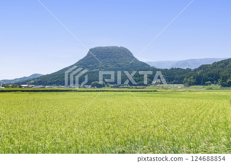 龜須盆地稻田和山。 龜須盆地稻田和山。 124688854