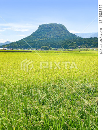 龜須盆地稻田和山。 龜須盆地稻田和山。 124688855