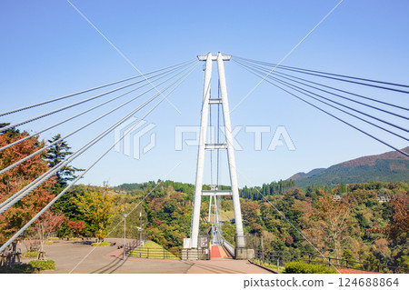 紅葉與九重“夢”吊橋 紅葉與九重“夢”吊橋 124688864