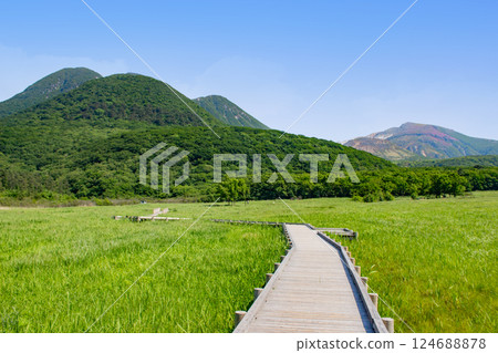 Fresh green Chojabaru Tadewara Marsh and Kuju mountain range 124688878