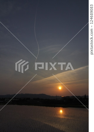 Evening view of rice fields and contrails Evening view of rice fields and contrails 124689083