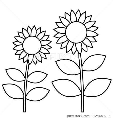 Sunflower flower black and white line drawing illustration. Summer image coloring book Sunflower flower black and white line drawing illustration. Summer image coloring book 124689202