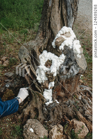 man fills some holes in a tree with foam spray 124689268