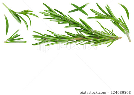 Rosemary twig and leaves isolated on white background. Top view with copy space for your text. Flat lay Rosemary twig and leaves isolated on white background. Top view with copy space for your text. Flat lay 124689508